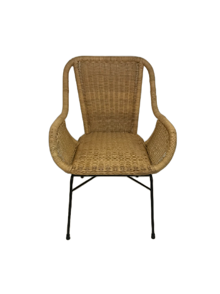 Palmview Rattan Armed Dining Chair