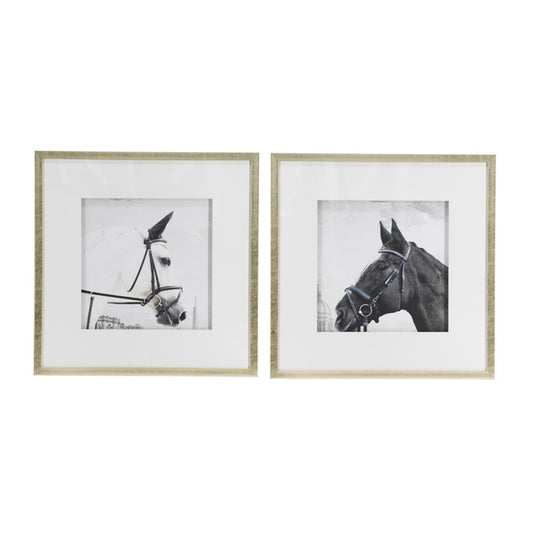 Horse Framed Prints Set of 2