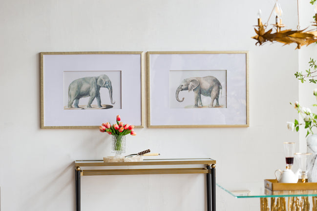 Elephant Framed Prints Set of 2