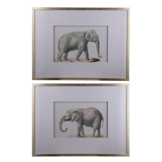 Elephant Framed Prints Set of 2