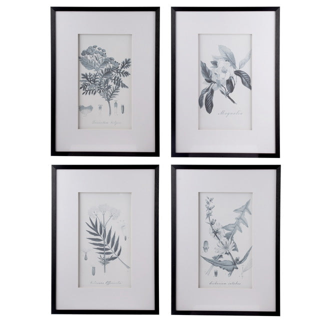 Flora & Fauna Framed Set of 4