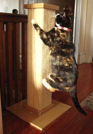 SmartCat Ultimate Heavy-Duty Sisal Cat Scratch Post