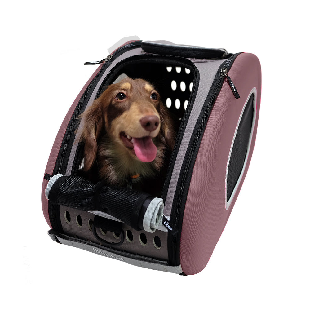 Ibiyaya Convertible Pet Carrier with Wheels - Chocolate