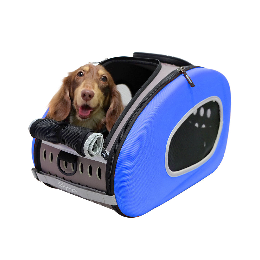 Ibiyaya Convertible Pet Carrier with Wheels - Royal Blue