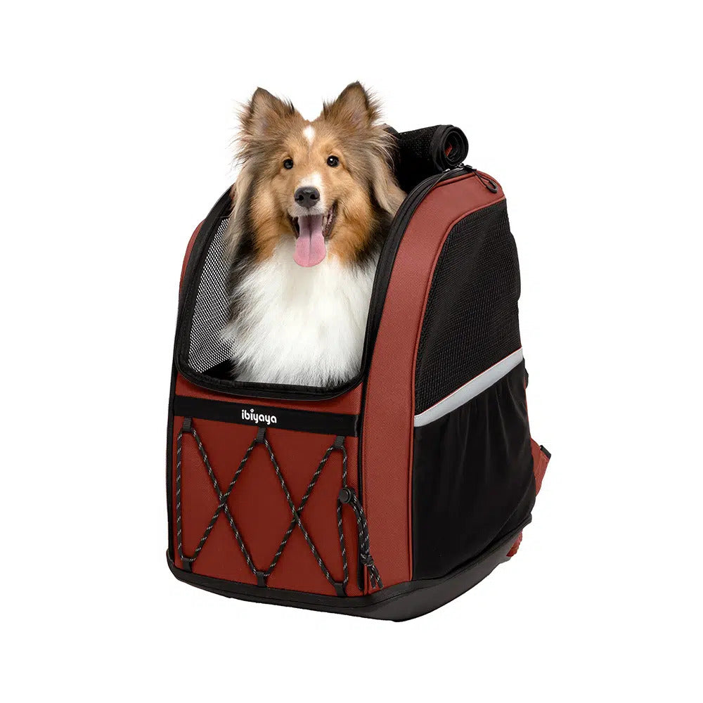 Ibiyaya Champion 3-in-1 Carrier, Backpack & Car Seat - Dogs up to 12kg