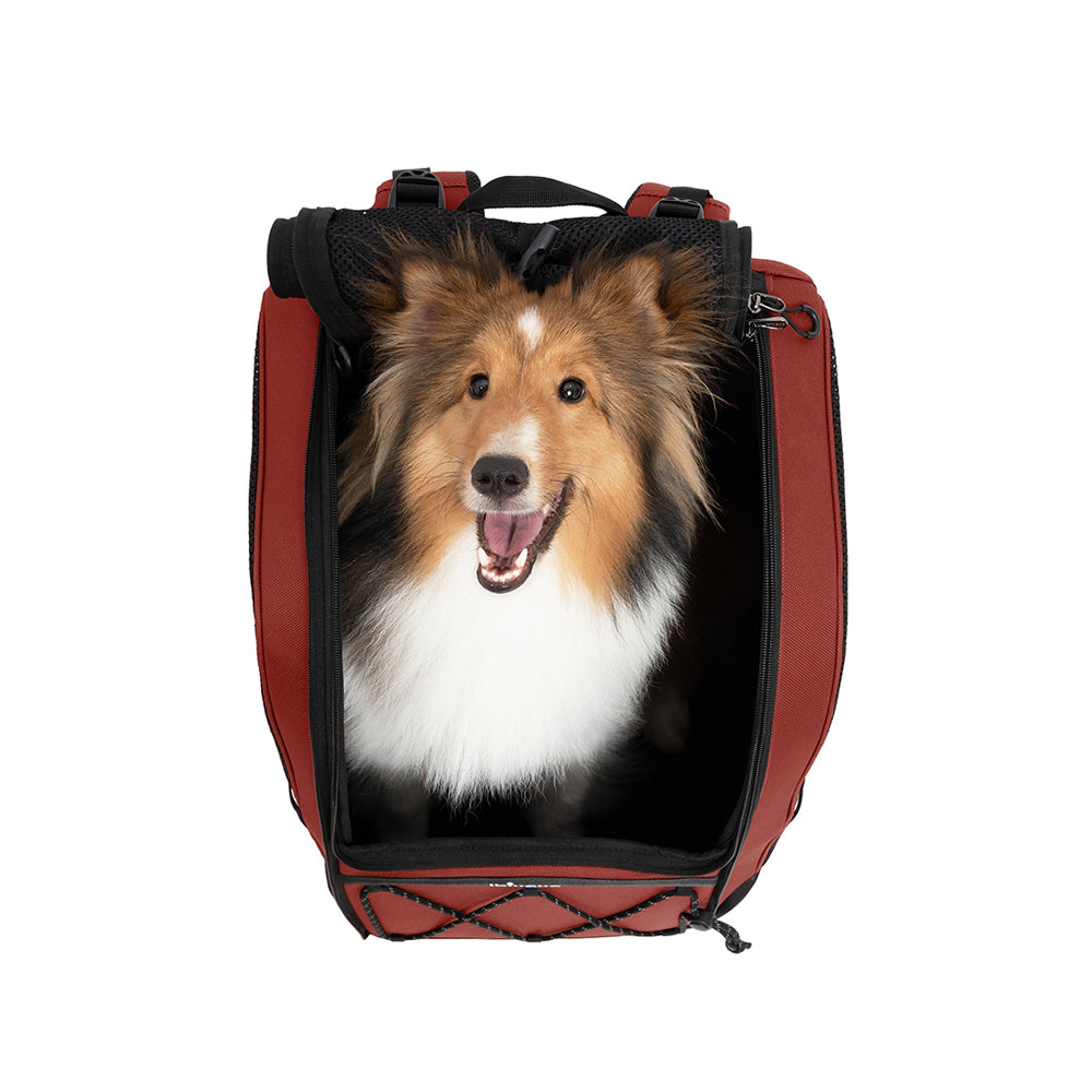 Ibiyaya Champion 3-in-1 Carrier, Backpack & Car Seat - Dogs up to 12kg