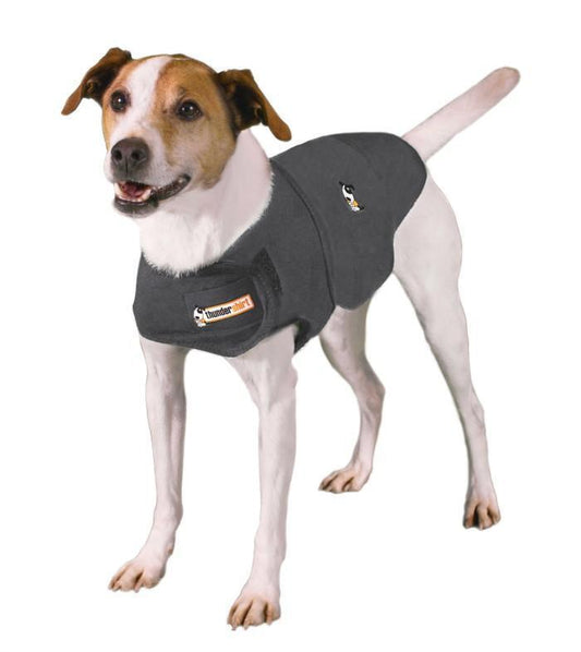 ThunderShirt Anxiety Vest for Dogs