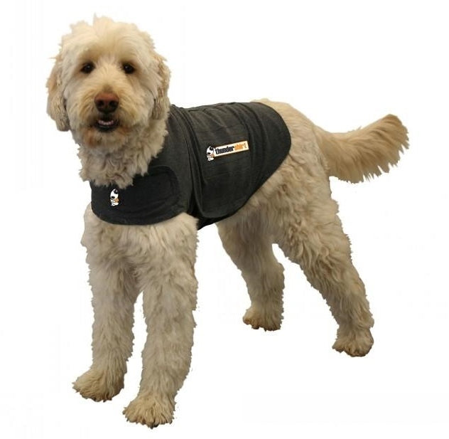 ThunderShirt Anxiety Vest for Dogs